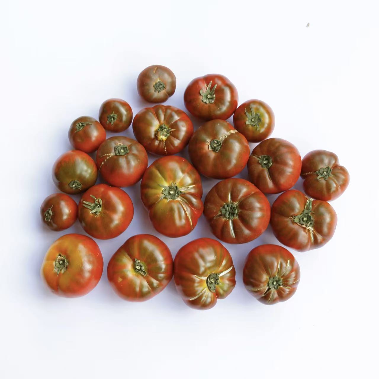 有机铁皮番茄｜云南丽江