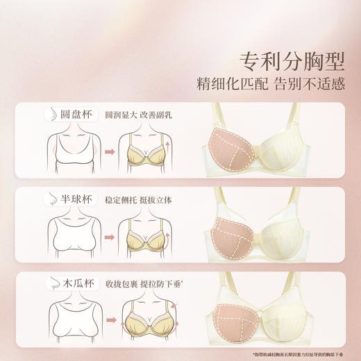 [流光分胸型]全罩杯文胸防下垂蕾丝上托大胸内衣 商品图3