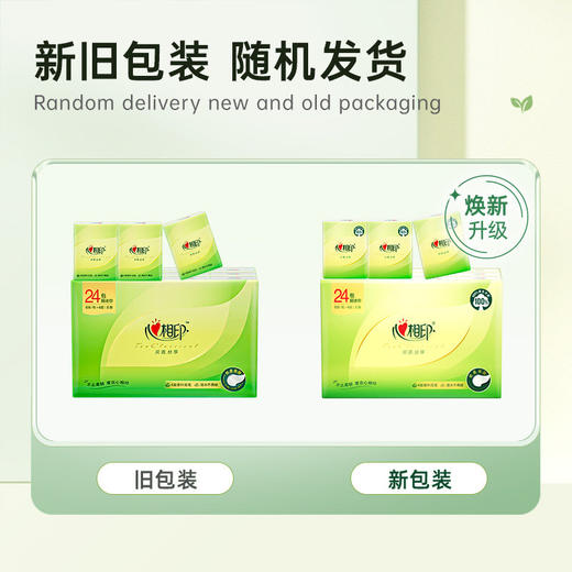 DH C3624（条装）心相印茶语丝享系列24包装四层纸手帕（超迷你）*1条（6片/包） 商品图1
