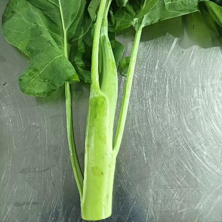 生态芥蓝（鸡腿芥蓝） | 绿家自产* Ecological Cabbage mustard | In-House Production 商品图1