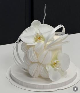 清冷蝴蝶兰蛋糕