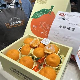金马鹿耙耙柑大件礼盒装   柑橘 纯甜 味浓 皮薄