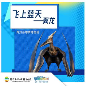 飞上蓝天的翼龙