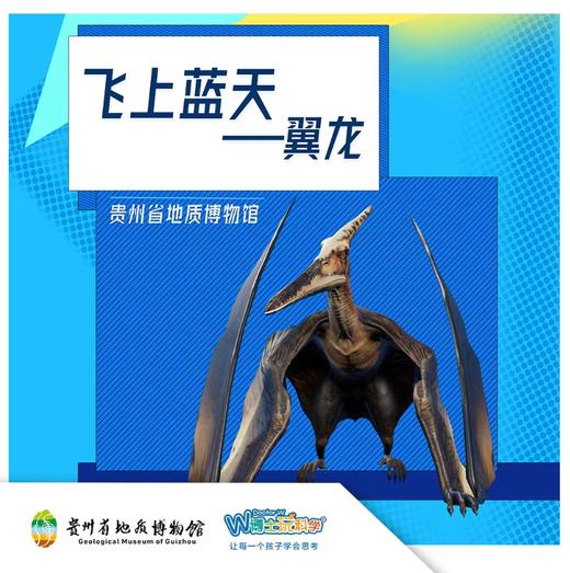 飞上蓝天的翼龙 商品图0