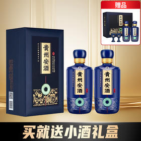 【首发送礼盒小酒】2023年 安酒经典安酒 酱香型老八大名酒  53度 500mL*2