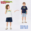 LEVIS 夏 大童小童 儿童童装套装 LVN-WS-R973 商品缩略图2