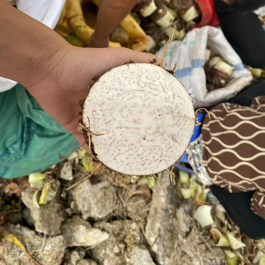 地标有机荔浦芋头·芋头片多规格可选 全国配送（偏远地区除外） 商品图2