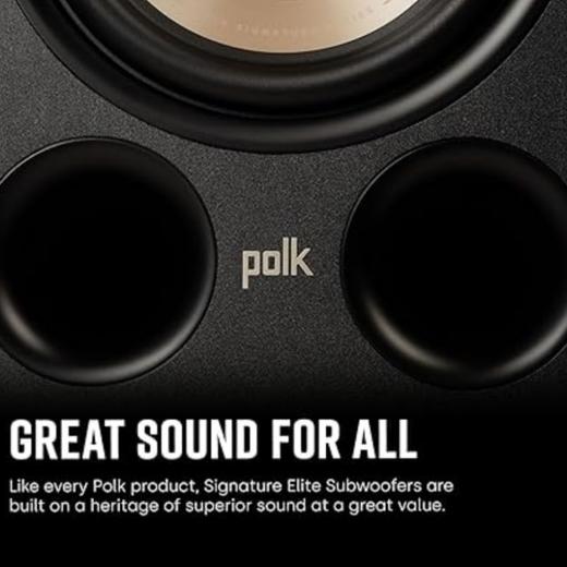 普乐之声（polk）ES10 200W家庭影院音箱 家用客厅有源低音炮10英寸长冲程超低音 黑色 商品图5