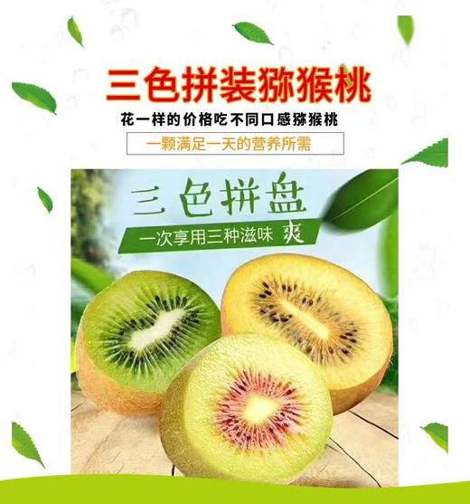 三色猕猴桃 商品图0