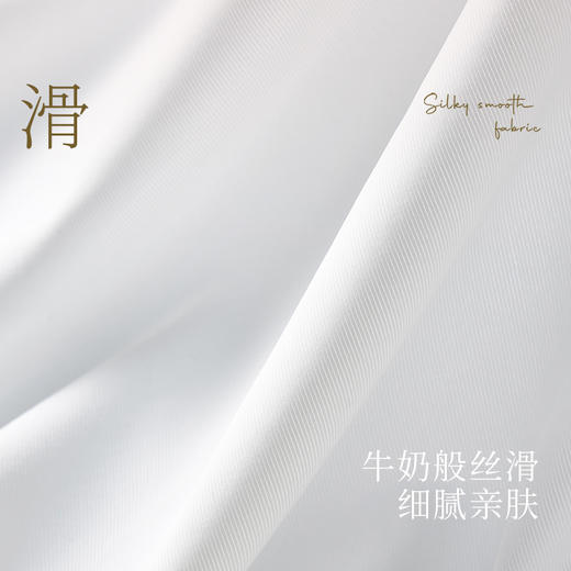 流光中腰三角内裤 商品图3