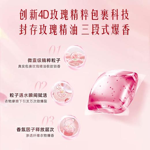 【到手110颗】立白大师香氛天然爆香洗衣凝珠（梦幻格拉斯玫瑰）400克（50颗）*2盒+赠10颗/袋  高效清洁 持久留香 商品图1