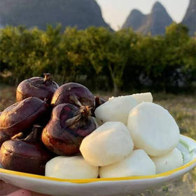地标有机水果马蹄·去皮马蹄 多规格可选 全国配送（偏远地区除外）