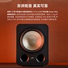 普乐之声（polk）ES12 300W家庭影院音箱 家用客厅有源低音炮12英寸长冲程超低音音箱D类功放 黑色 商品缩略图3