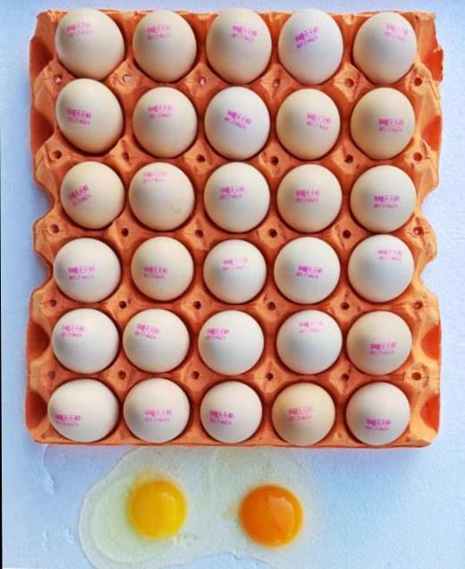 华曦鲜鸡蛋【BN】 商品图0