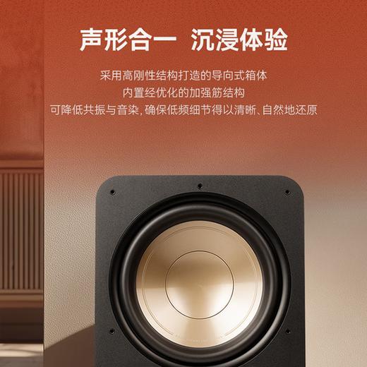普乐之声（polk）ES12 300W家庭影院音箱 家用客厅有源低音炮12英寸长冲程超低音音箱D类功放 黑色 商品图6