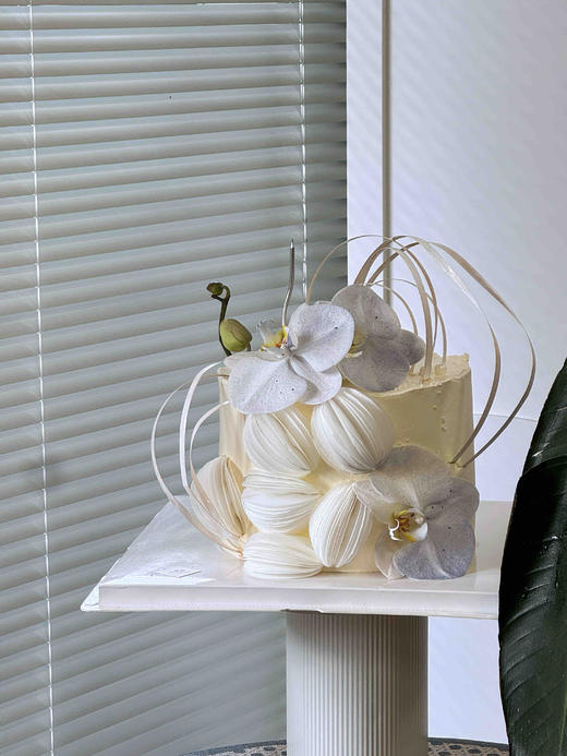 糯米纸蝴蝶兰 商品图0