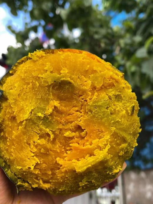 29.9元乌兰布和沙漠贝贝南瓜 商品图2