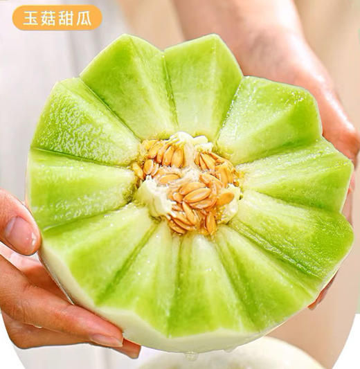 严选 | 海南玉菇甜瓜 4.5斤 中果 脆甜多汁 冰淇淋口感 商品图4