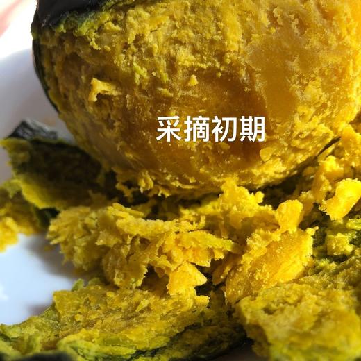 29.9元乌兰布和沙漠贝贝南瓜 商品图7