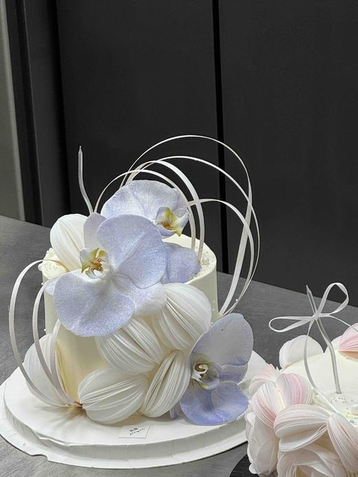 糯米纸蝴蝶兰 商品图3