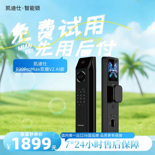 凯迪仕P30ProMax 双摄 V2 Ai版 【春季焕新】3D人脸识别 双锂电池  双摄哨兵监控 KDS 商品图0
