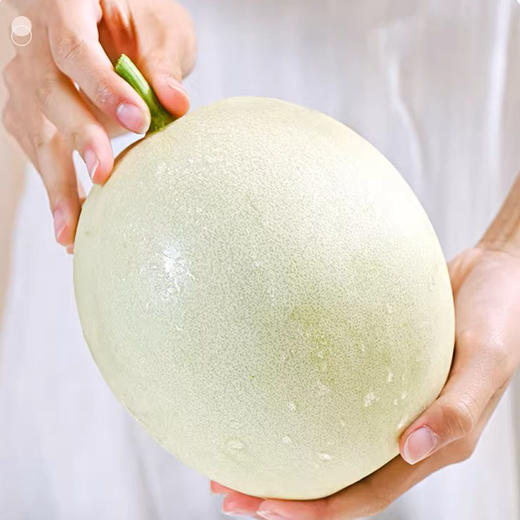 严选 | 海南玉菇甜瓜 4.5斤 中果 脆甜多汁 冰淇淋口感 商品图2