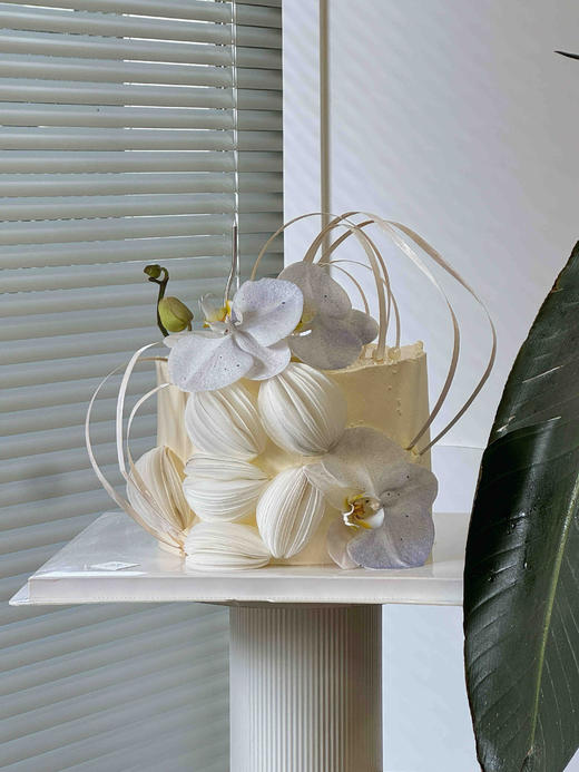 糯米纸蝴蝶兰 商品图1