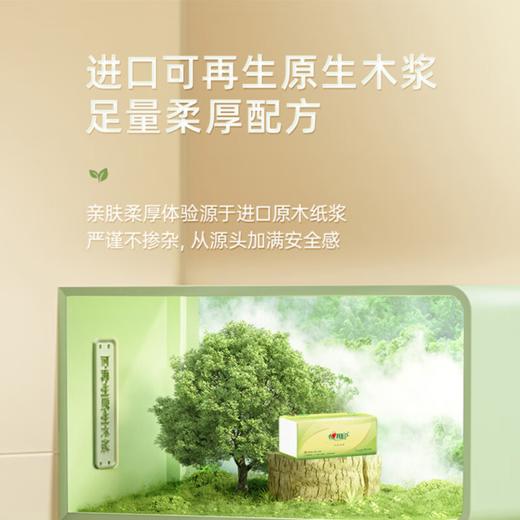 DH DT15120（箱装）心相印茶语抽纸120抽20包装 商品图5
