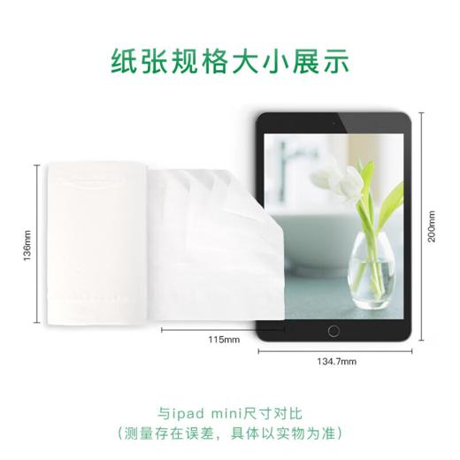 DH LR910（提装）优选郁金香系列75克10粒装四层无芯卫生纸（橙花）单提 商品图2