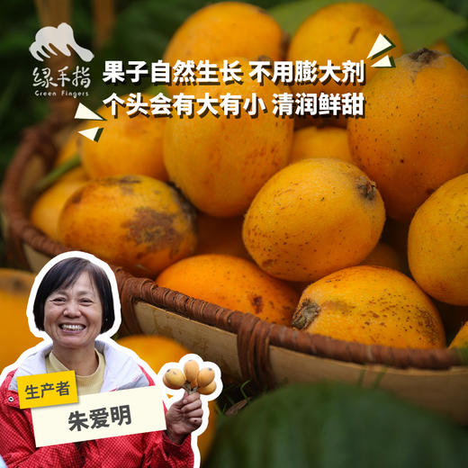 生态枇杷 | 合作生产 * Ecological Loquat  商品图0