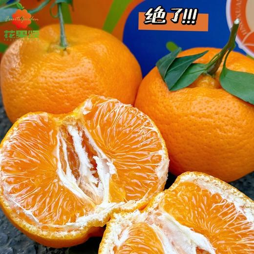 【时令鲜果】甘平柑橘 (口感好）约500g 商品图0