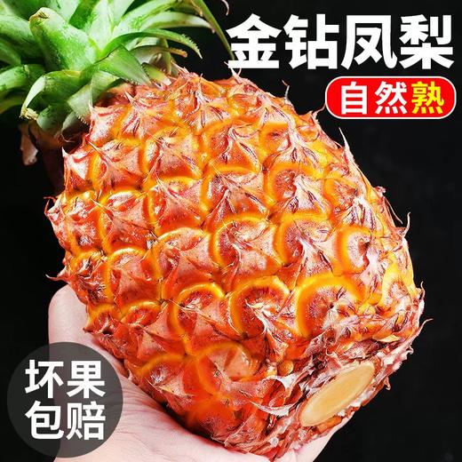 严选 | 海南金钻凤梨 4.5斤（中果/大果)  自然熟 香甜多汁 坏果包赔 商品图0