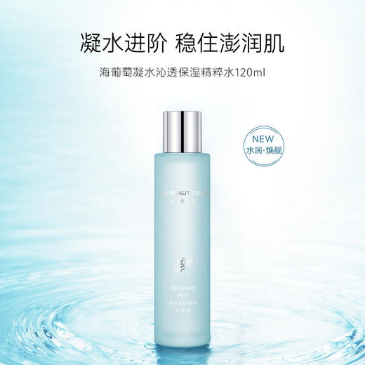 FAN BEAUTY DIARY海葡萄凝水沁透保湿精粹水乳套装（海葡萄凝水沁透保湿精粹水-120ml(大标)+海葡萄凝水沁透保湿精粹乳-100ml(大标)） 商品图0
