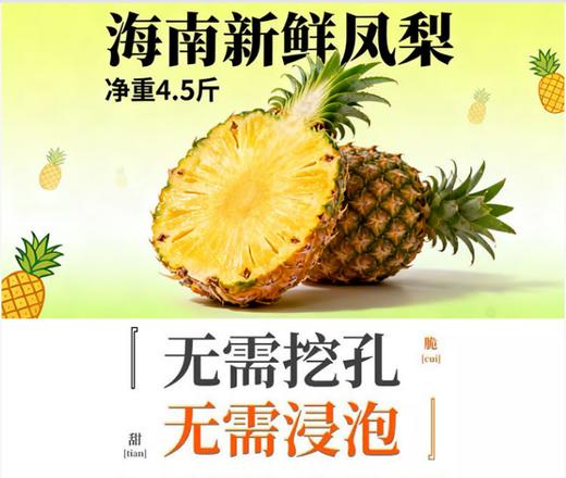 严选 | 海南金钻凤梨 4.5斤（中果/大果)  自然熟 香甜多汁 坏果包赔 商品图1