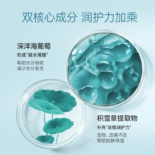 FAN BEAUTY DIARY海葡萄凝水沁透保湿精粹水乳套装（海葡萄凝水沁透保湿精粹水-120ml(大标)+海葡萄凝水沁透保湿精粹乳-100ml(大标)） 商品图4