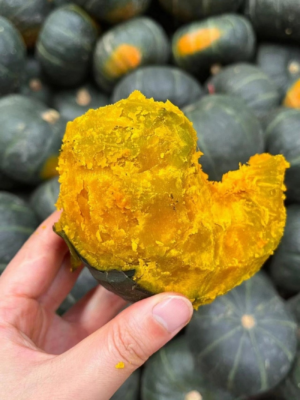 29.9元乌兰布和沙漠贝贝南瓜