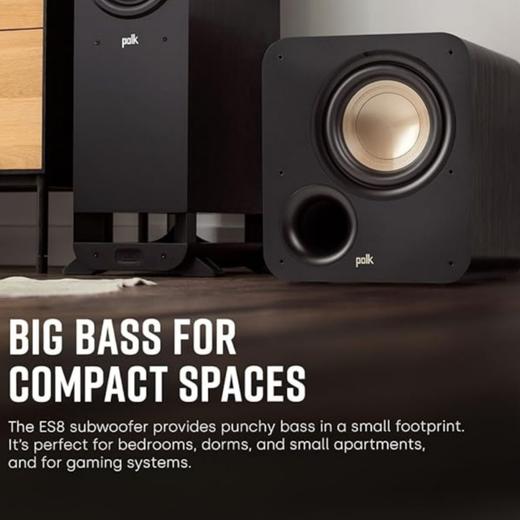 普乐之声（polk）ES8 100W家庭影院音箱 家用客厅有源低音炮8英寸长冲程超低音 黑色 商品图3