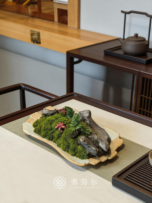 浅盘-苔藓盆栽 商品图1