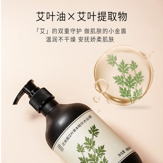 正安国货·艾叶草本精华沐浴露  清爽芳香天然艾草精华沐浴液 商品图6