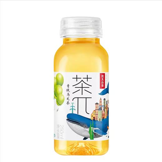 茶π（茶派） 茶饮料 250ml*12 商品图2