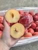 新鲜水果 果香浓郁南非李   500g 商品缩略图1