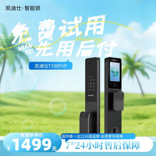 凯迪仕T100FVP 【春季焕新】3D人脸识别  智能门锁 电子锁 监控 KDS 商品图0