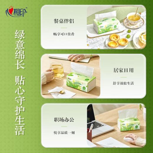 DH DT3100 （箱装）心相印茶语经典系列100抽三层塑装纸面巾18包/箱（M码） 商品图5