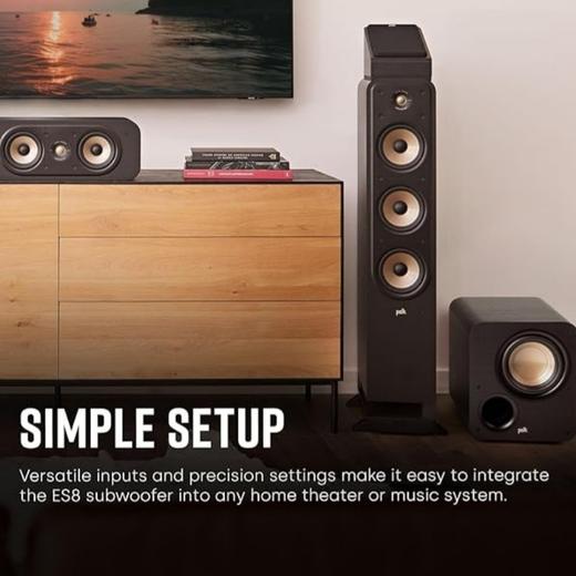 普乐之声（polk）ES8 100W家庭影院音箱 家用客厅有源低音炮8英寸长冲程超低音 黑色 商品图7