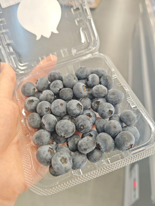 玫零一品蓝莓15+（盒） 商品图0