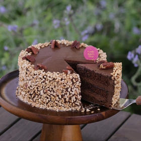 海盐黑巧花生碧根果蛋糕Dark Chocolate Sea Salt Peanut Pecan Cake