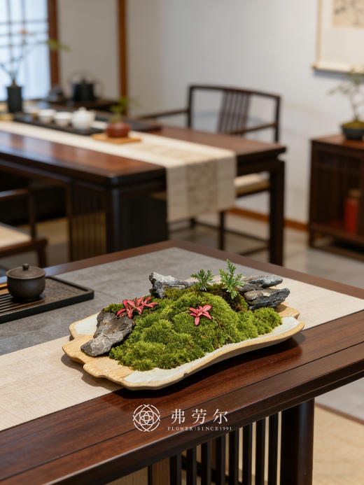 浅盘-苔藓盆栽 商品图0