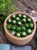 春日青团/每日现蒸，可快递数量有限 商品缩略图10