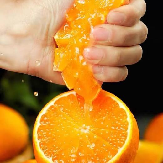 严选 | 广西武鸣无核沃柑 5斤/9斤装 现摘现发 皮薄多汁 商品图1