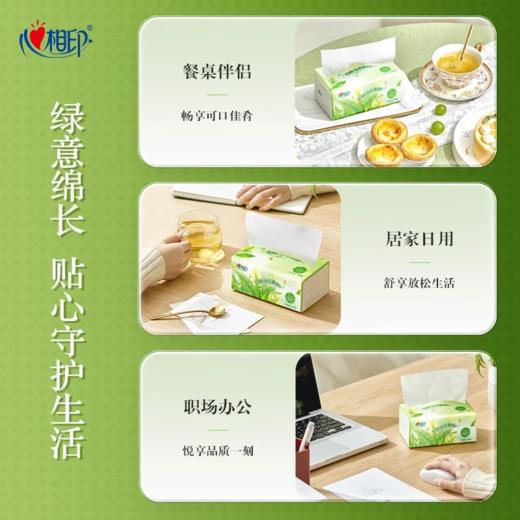 DH DT5100（电商箱装）心相印茶语经典100抽24包装三层塑装面巾纸 商品图5